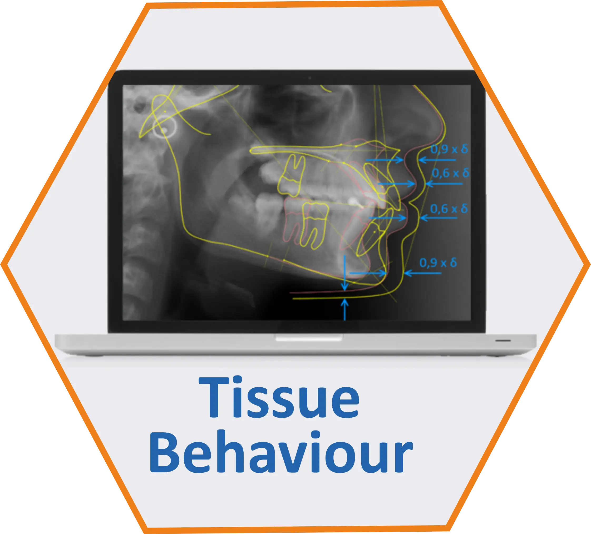 tissue behaviour