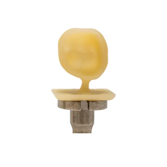 preview-Crown-Wet-DWX