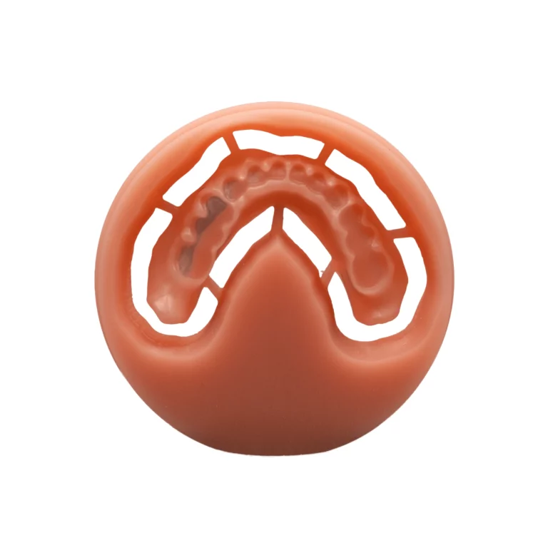 removable_dental_prostheses_dry_dwx